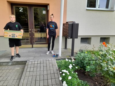 Foto des Albums: Sonnenblumenaktion 