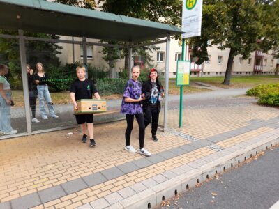 Foto des Albums: Sonnenblumenaktion 