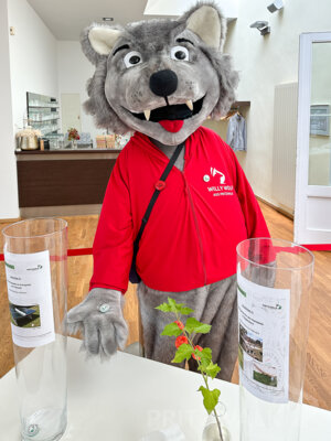 Foto des Albums: Kinder-Familientag und Abstimmung über den Bürgerhaushalt 2024