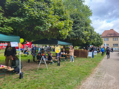 Foto des Albums: Kinder-Familientag und Abstimmung über den Bürgerhaushalt 2024