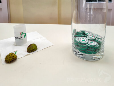 Foto des Albums: Kinder-Familientag und Abstimmung über den Bürgerhaushalt 2024