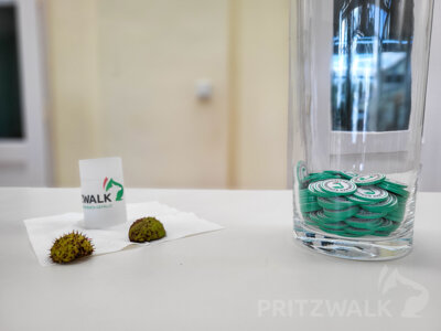 Foto des Albums: Kinder-Familientag und Abstimmung über den Bürgerhaushalt 2024