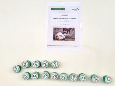 Foto des Albums: Kinder-Familientag und Abstimmung über den Bürgerhaushalt 2024