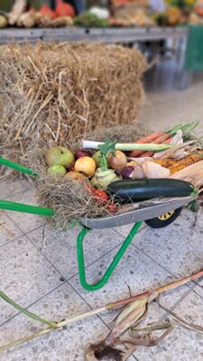 Foto des Albums: Erntedankfeier 2023