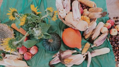 Foto des Albums: Erntedankfeier 2023