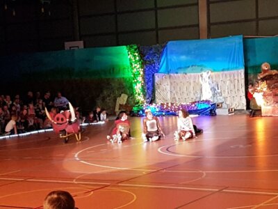 Foto des Albums: Schaulaufen 2017 - König der Löwen