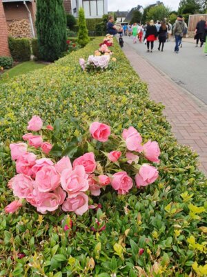 Foto des Albums: Ernte-Move Appen