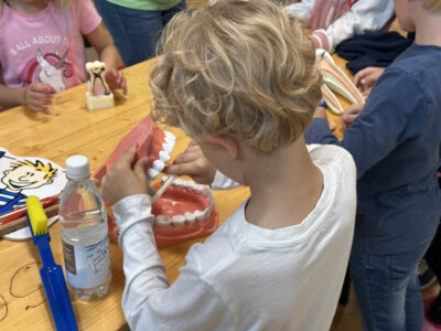 Tag der Zahngesundheit 2023 - Foto Landkreis-06  (Bild vergr&ouml;&szlig;ern)