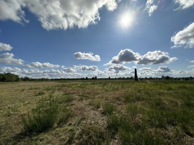 Foto des Albums: Heidikönigin 2023
