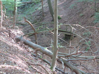 Wolfsschlucht mit Teufelsbr&uuml;cke  (Bild vergr&ouml;&szlig;ern)