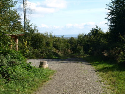 Blick vom Rastplatz zum Steinhuder Meer  (Bild vergr&ouml;&szlig;ern)