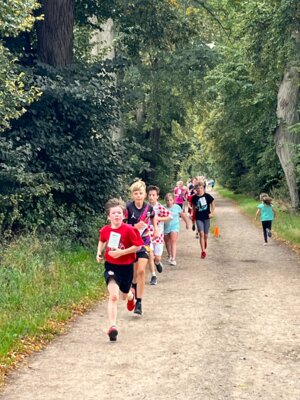 Auf der Laufstrecke 
