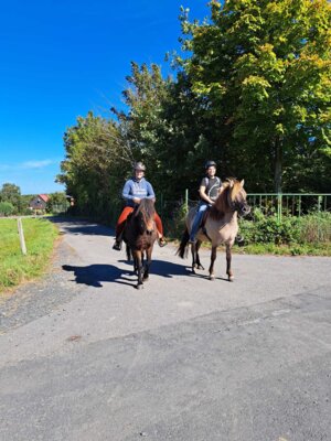 Foto des Albums: Rallye 2023