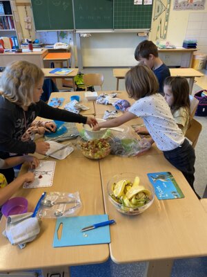 Foto des Albums: Projekttage