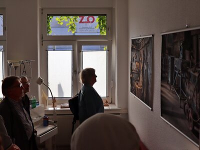 Vorschaubild der Galerie