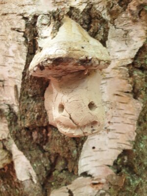 Foto des Albums: Töpfern im Wald