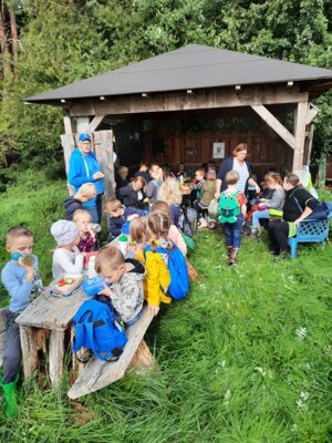 Foto des Albums: Kl. 1 bis 4 besuchen das Loyermoor