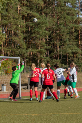 Foto des Albums: Ladies vs. Borgsdorf