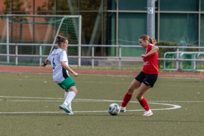 Foto des Albums: Ladies vs. Borgsdorf
