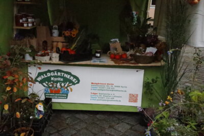 Foto des Albums: Kartoffel-Erlebnismarkt (07.10.2023)