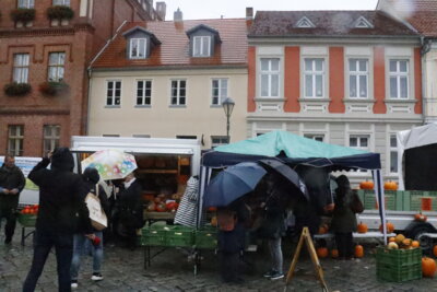 Foto des Albums: Kartoffel-Erlebnismarkt (07.10.2023)