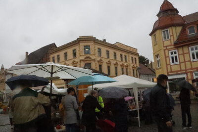 Foto des Albums: Kartoffel-Erlebnismarkt (07.10.2023)
