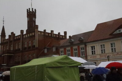 Foto des Albums: Kartoffel-Erlebnismarkt (07.10.2023)
