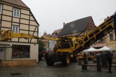 Foto des Albums: Kartoffel-Erlebnismarkt (07.10.2023)
