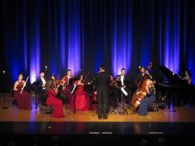 Foto des Albums: Strauss-Revue