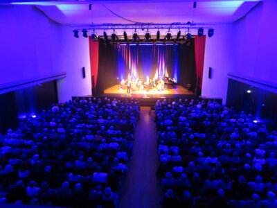 Foto des Albums: Strauss-Revue