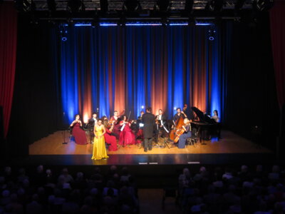 Foto des Albums: Strauss-Revue