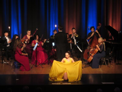 Foto des Albums: Strauss-Revue