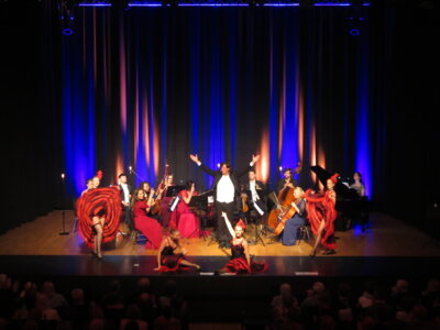 Foto des Albums: Strauss-Revue