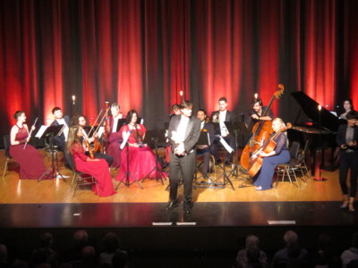 Foto des Albums: Strauss-Revue