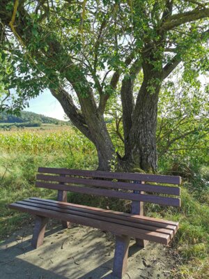 Foto des Albums: Beschaffung Bänke Heimatfreunde