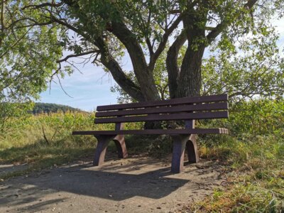 Foto des Albums: Beschaffung Bänke Heimatfreunde