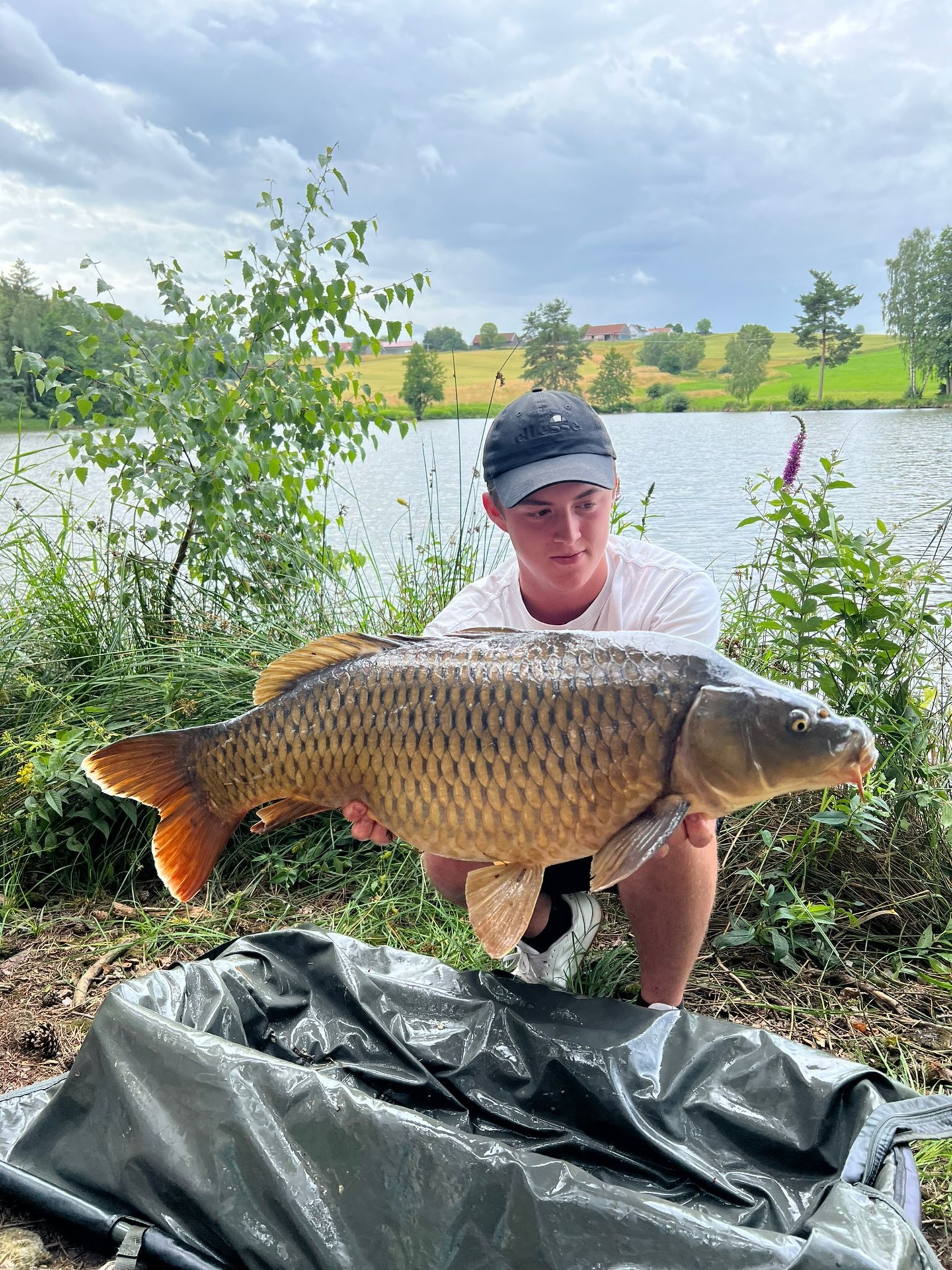 Bild: Fischerkönig 2024: Glöckl Tobias (Schuppenkarpfen 11300g)