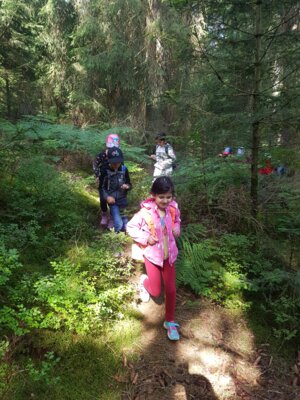 Foto des Albums: HeidelbeermodulSJ22/23