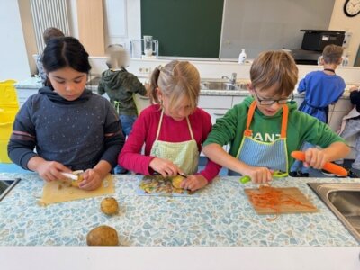 Foto des Albums: Mobile Küche 3a