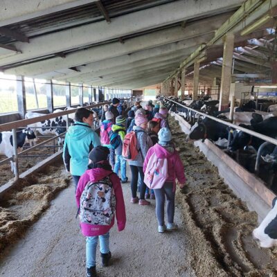 Foto des Albums: Projektwoche in allen Klassen
