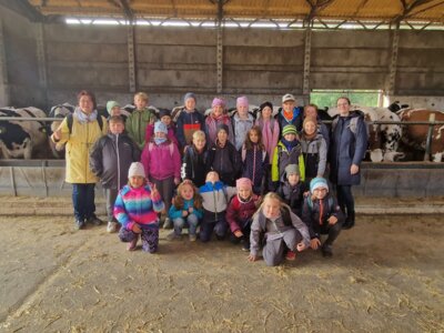Foto des Albums: Projektwoche in allen Klassen