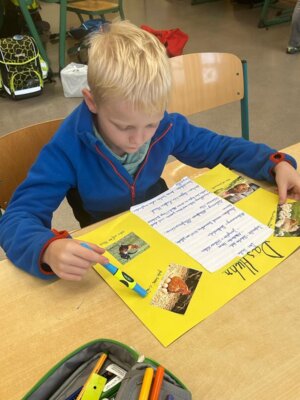 Foto des Albums: Projektwoche in allen Klassen