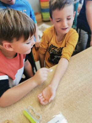 Foto des Albums: Projektwoche in allen Klassen