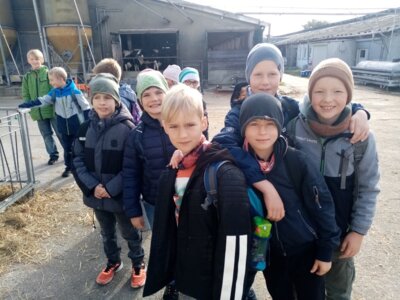 Klasse 3 besucht den Kuhstall in N&ouml;bden.  (Bild vergr&ouml;&szlig;ern)