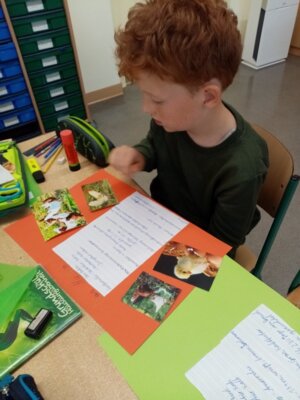Foto des Albums: Projektwoche in allen Klassen