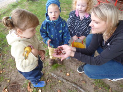 Foto des Albums: August-September Kinderkrippe 2023 (20. 10. 2023)