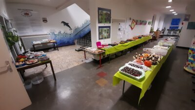Foto des Albums: Halloweenprojekttag 2023