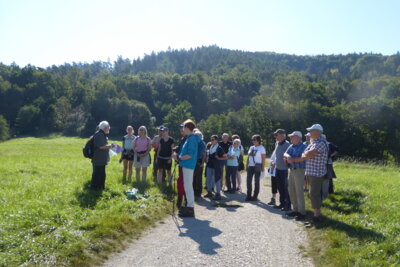 Foto des Albums: Landschaft- und erdgeschichtliche Wanderung auf den Moritzberg
