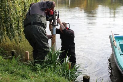 Foto des Albums: Angler unterstützen Rohnestadt bei der Ufersanierung am Neuvorwerksteich in Allstedt
