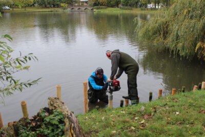 Foto des Albums: Angler unterstützen Rohnestadt bei der Ufersanierung am Neuvorwerksteich in Allstedt